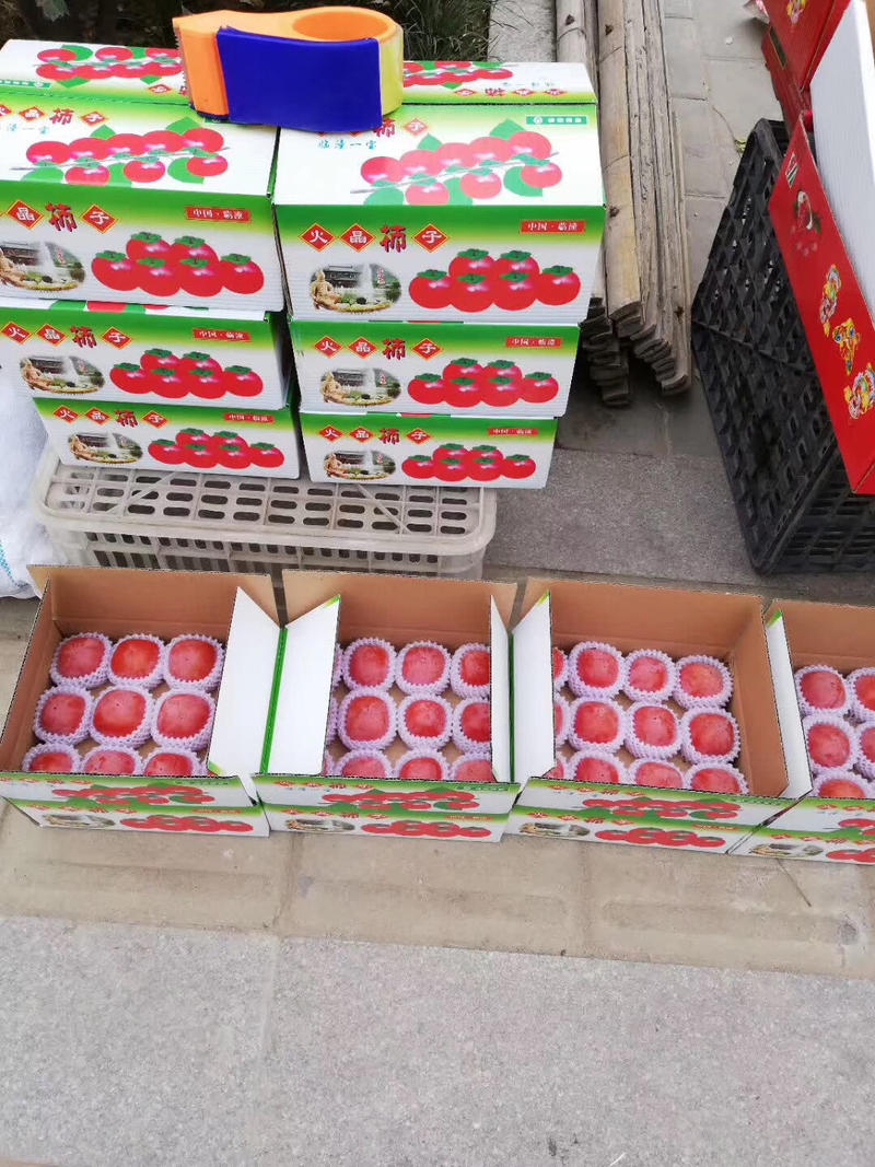 临潼火晶柿子一箱两层装只支持自提西安市内可免费送货