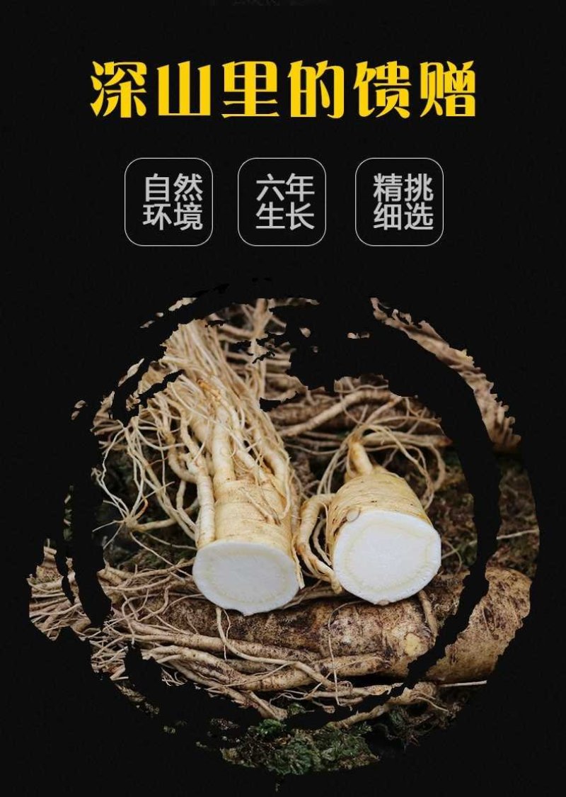特产长白山鲜人参带土新鲜人参煲汤泡酒鲜人参保鲜参