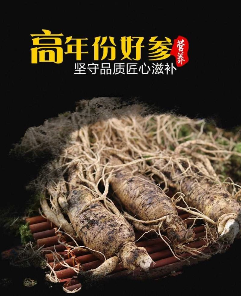 特产长白山鲜人参带土新鲜人参煲汤泡酒鲜人参保鲜参
