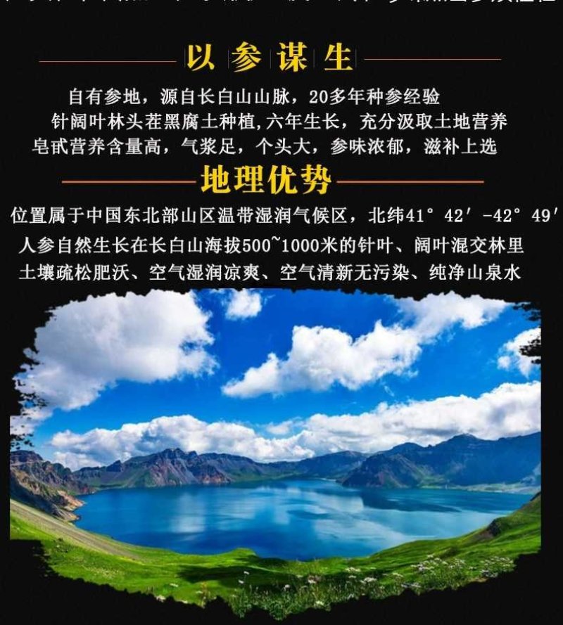 特产长白山鲜人参带土新鲜人参煲汤泡酒鲜人参保鲜参