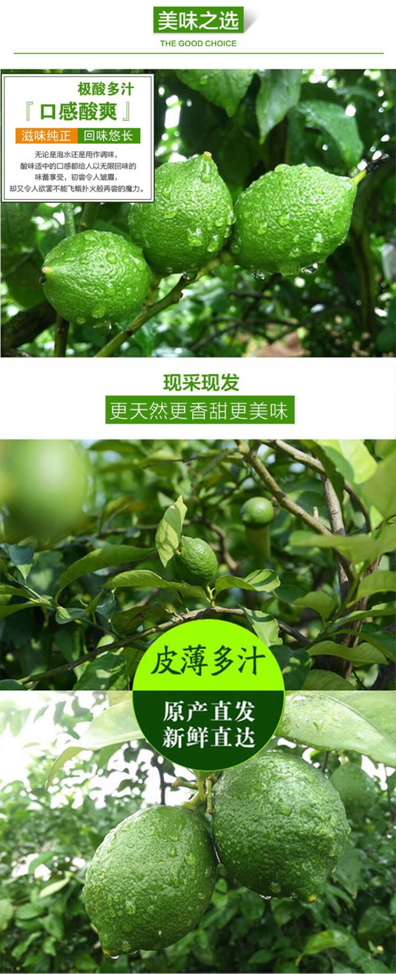 新鲜青柠檬