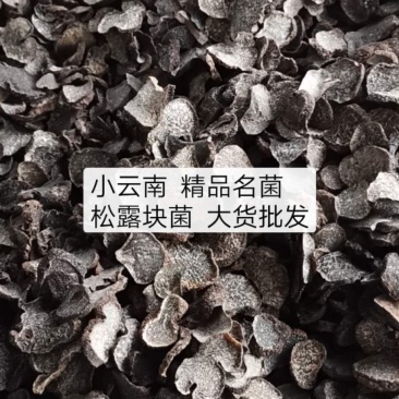 松露猪拱菌块菌干片老家货源直拱货源充足量大从优