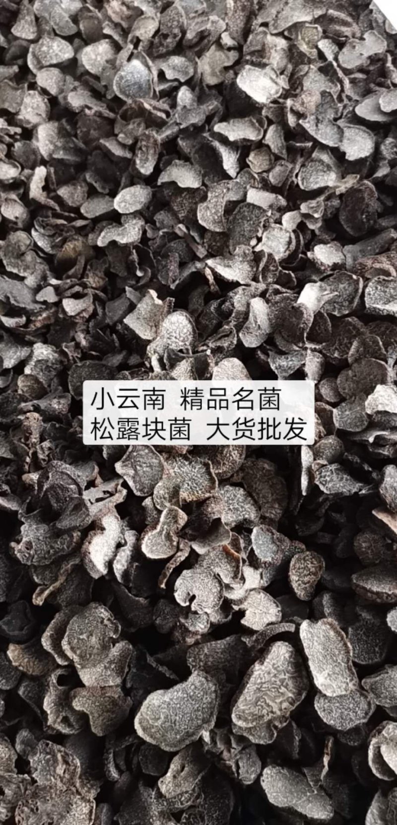 松露猪拱菌块菌干片老家货源直拱货源充足量大从优