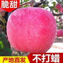 现摘现发产地直供红富士苹果一件代发，诚接代办服务