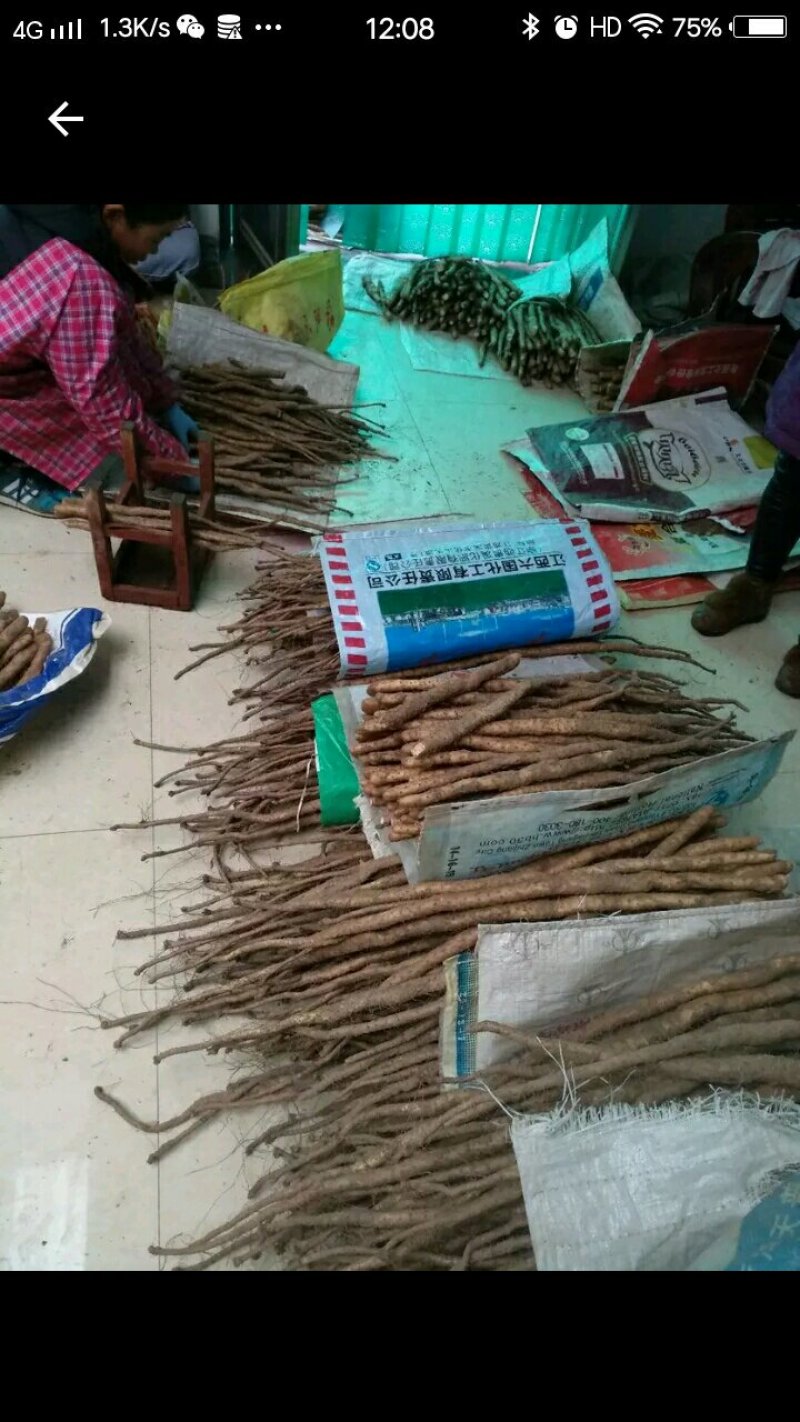 温县铁棍山药