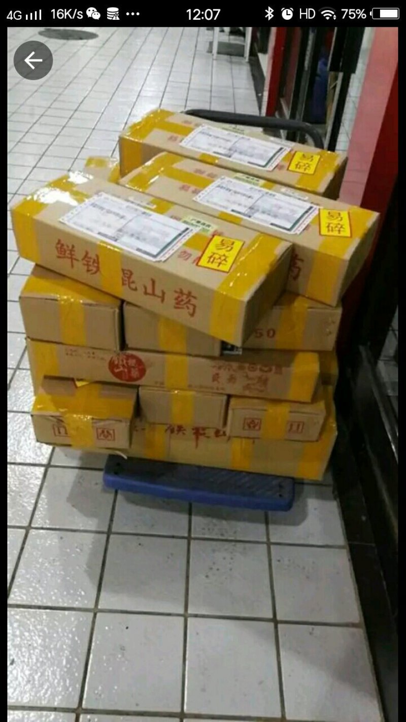 温县铁棍山药
