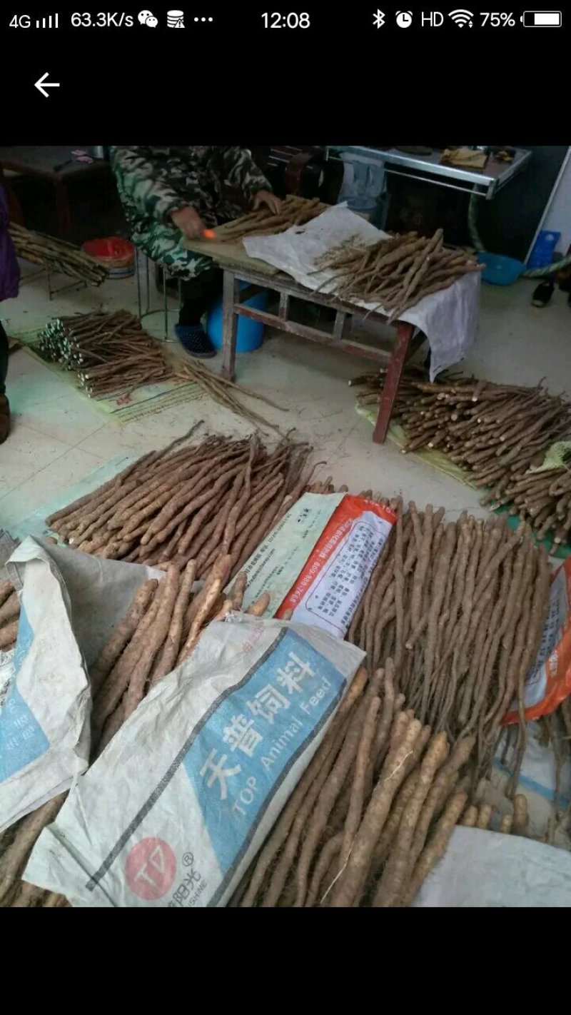 温县铁棍山药