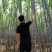 热卖区(广西甘蔗)基地直供，回程车免费提供。