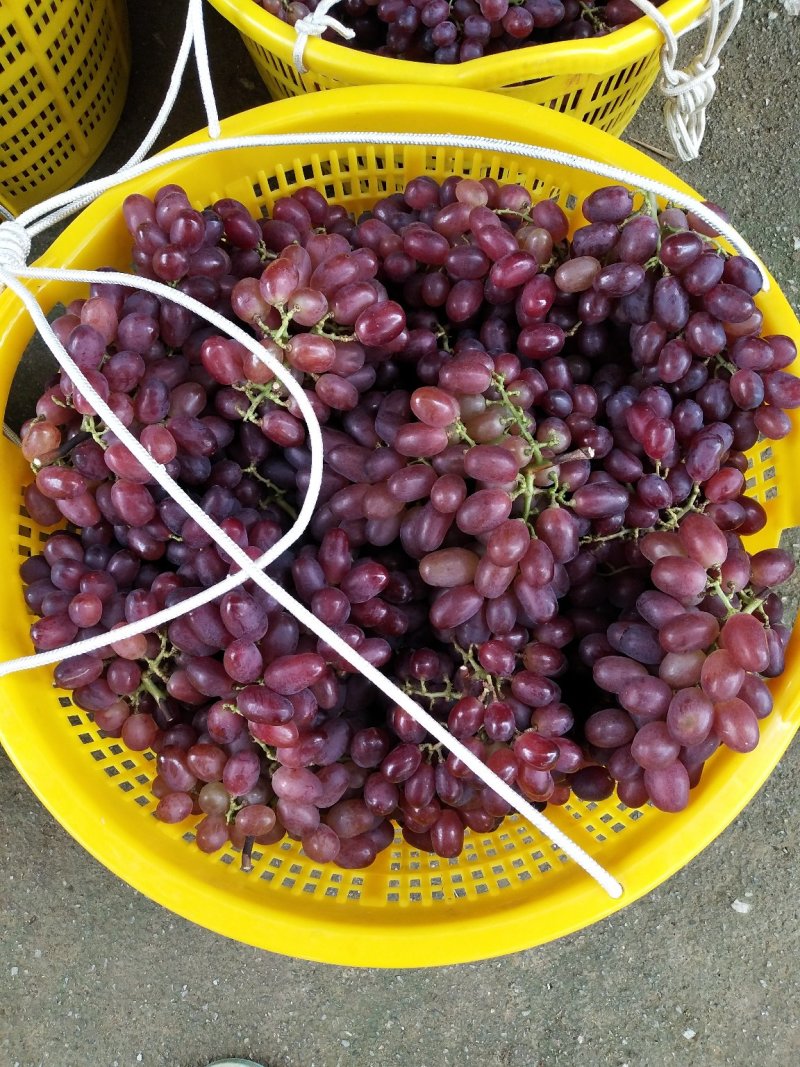 温克