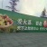 陕西冬枣产口感宜人供应社区团购商超电商一件代发
