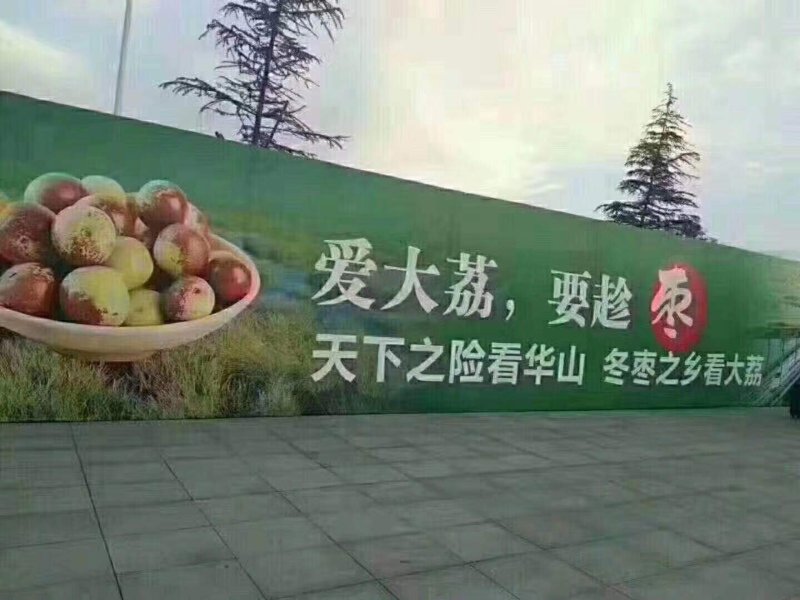 陕西冬枣产口感宜人供应社区团购商超电商一件代发