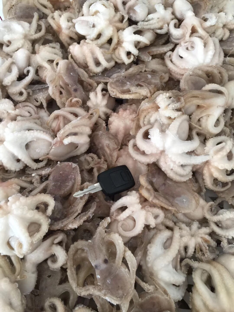 盐揉生冻章鱼