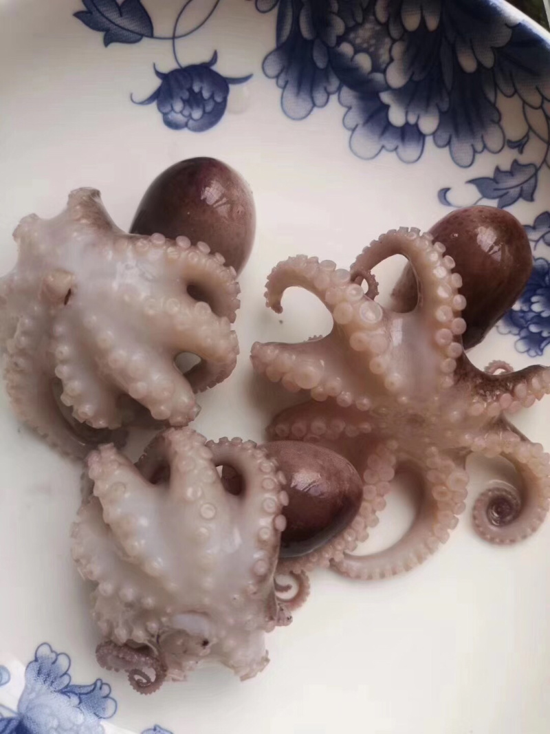 盐揉生冻章鱼