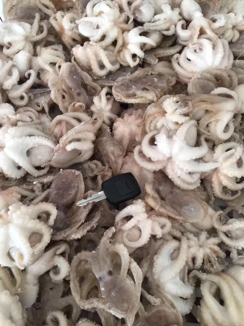 盐揉生冻章鱼