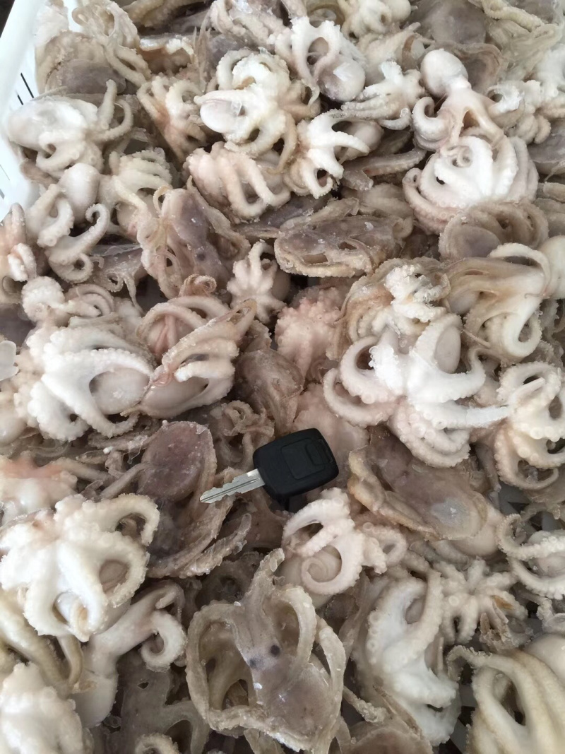 盐揉生冻章鱼