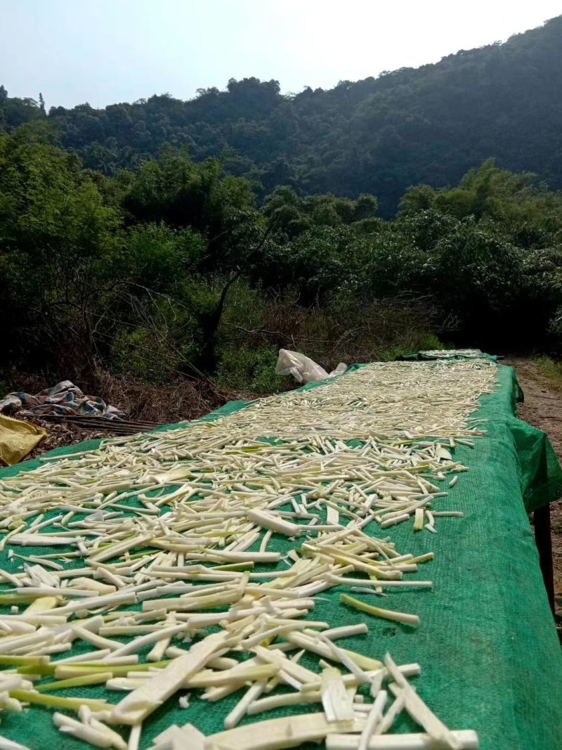 笋干淡笋干