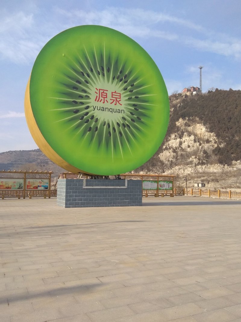博山源泉优质精品猕猴桃，新鲜甘甜，价格便宜。
