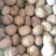 甘肃陇南老树核桃去皮25~30mm干