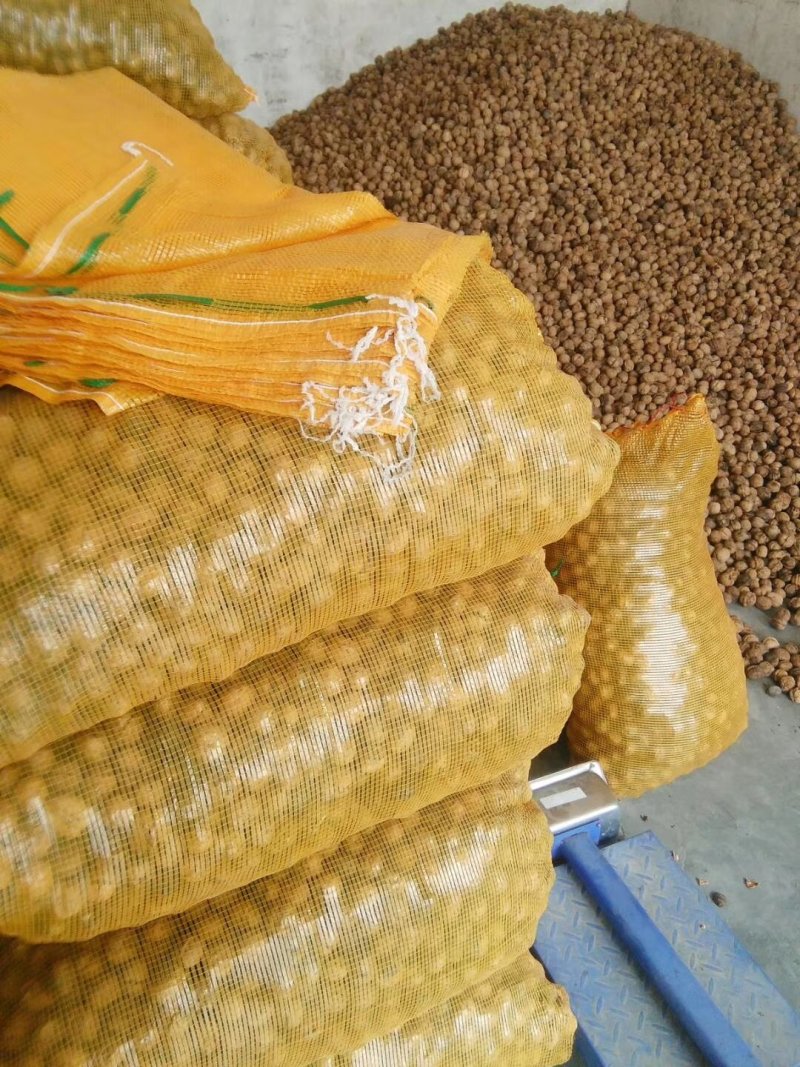 甘肃陇南老树核桃去皮25~30mm干