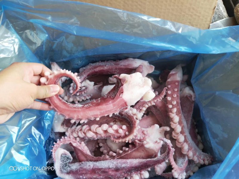 新鲜脆口章鱼脚章鱼须章鱼丸子爆炒好食材