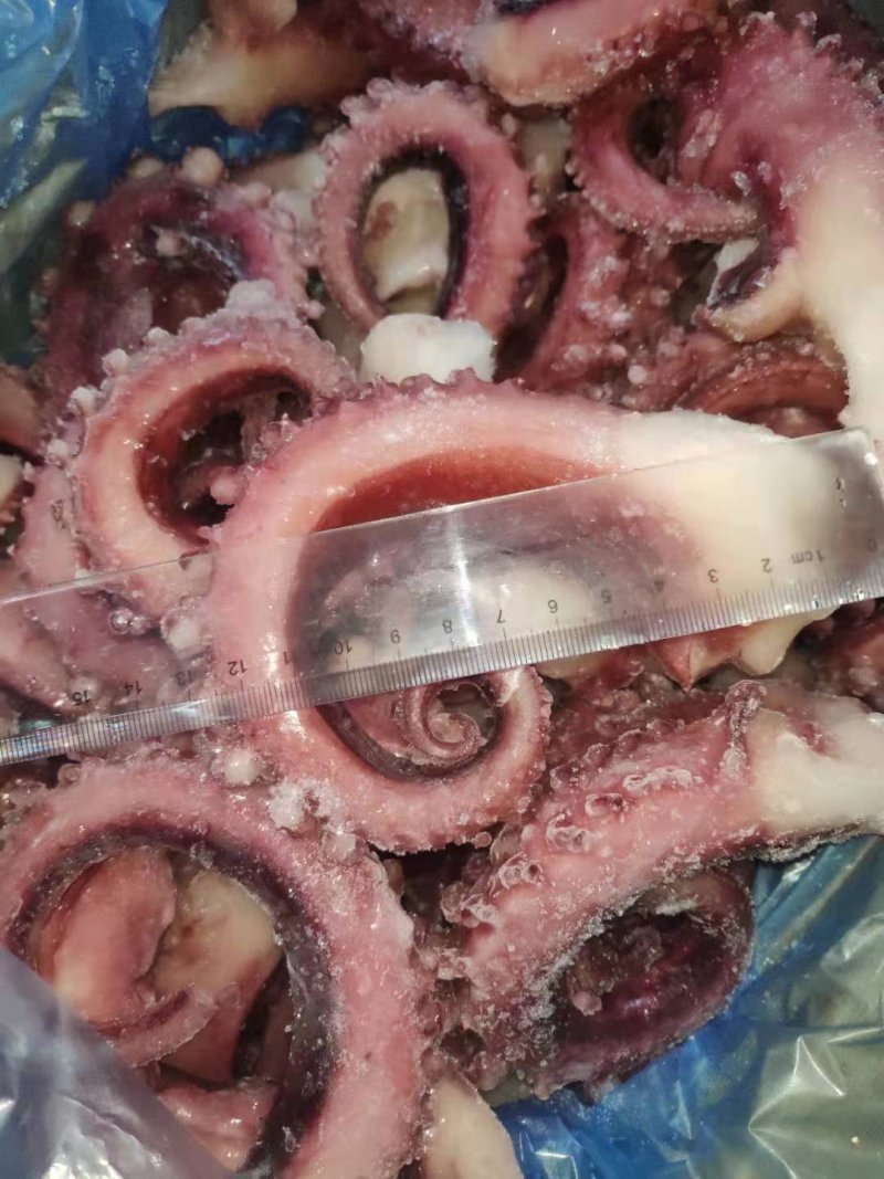 新鲜脆口章鱼脚章鱼须章鱼丸子爆炒好食材