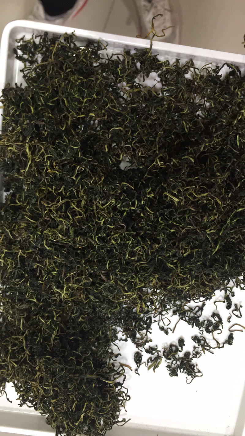 【有好货】蒲公英蒲公英茶2025年婆婆丁公英茶包邮