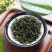 【有好货】蒲公英蒲公英茶2025年婆婆丁公英茶包邮