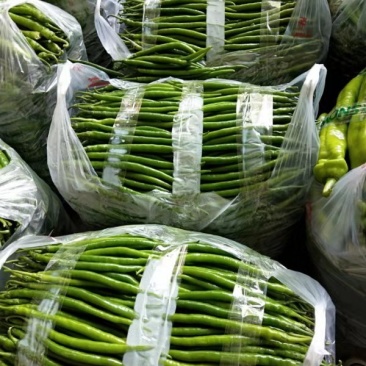 【推荐】精品黑黄线椒产地直销一手货源