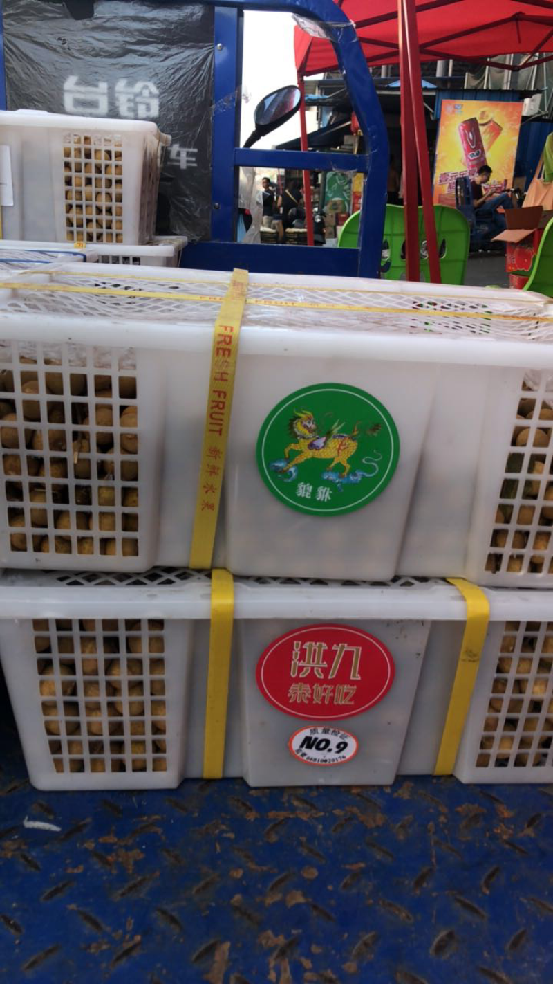 外贸公司便宜龙眼处理