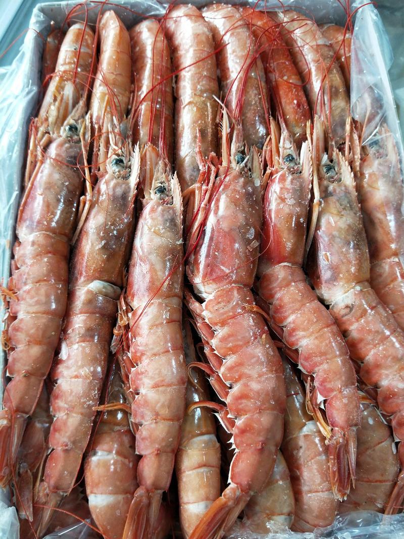 阿根廷红虾水产虾类红虾根廷红虾