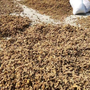 黄精统货甜黄精有需要可以联系我