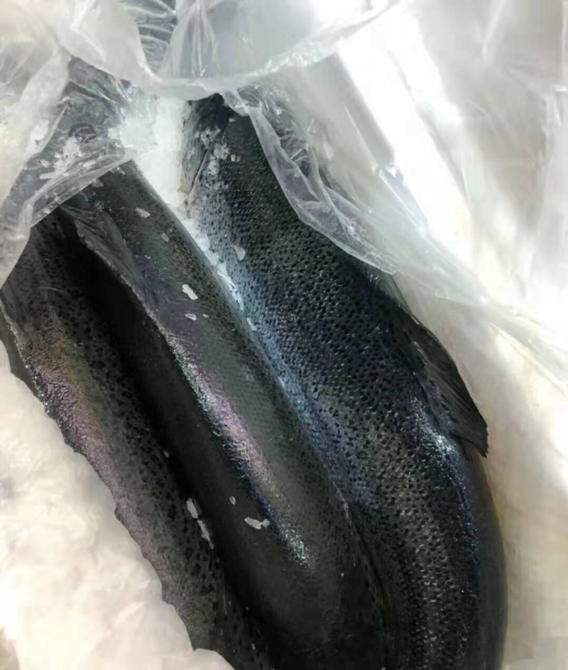 正关挪威三文鱼可以免费试货