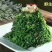 灰灰菜，荠荠菜