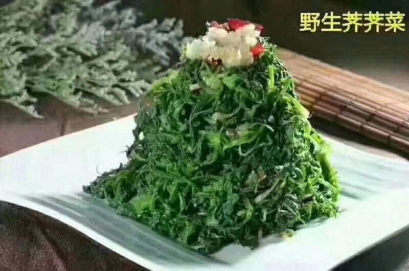 灰灰菜，荠荠菜