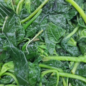 灰灰菜，荠荠菜