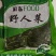 灰灰菜，荠荠菜