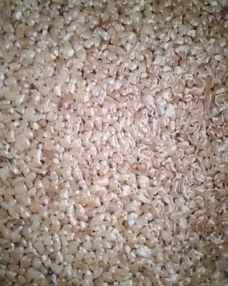 熟花生碎美味醇香粒粒香脆