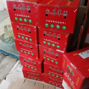 甘肃礼县花牛苹果大量批发一件代发