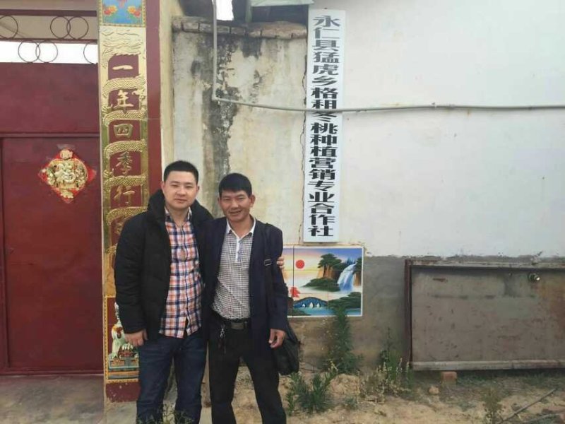 永仁冬桃，日照时间长，昼夜温差大，绿色生态县！
