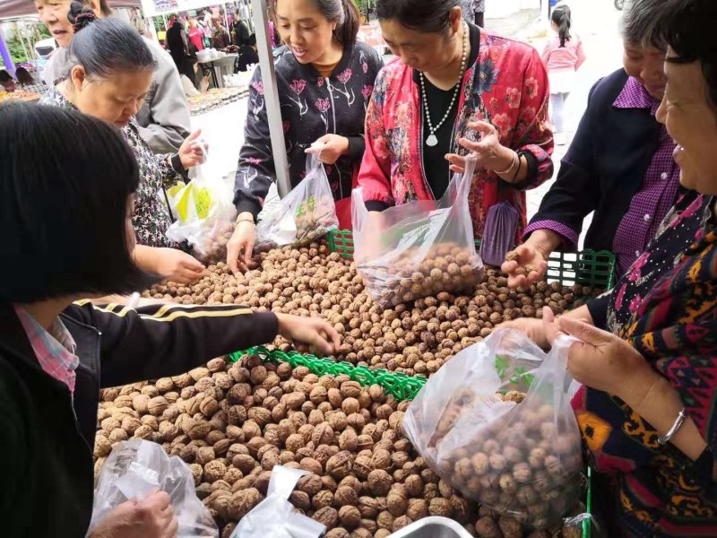 产地直销质量保证包退包换放心购买云南大泡麻核