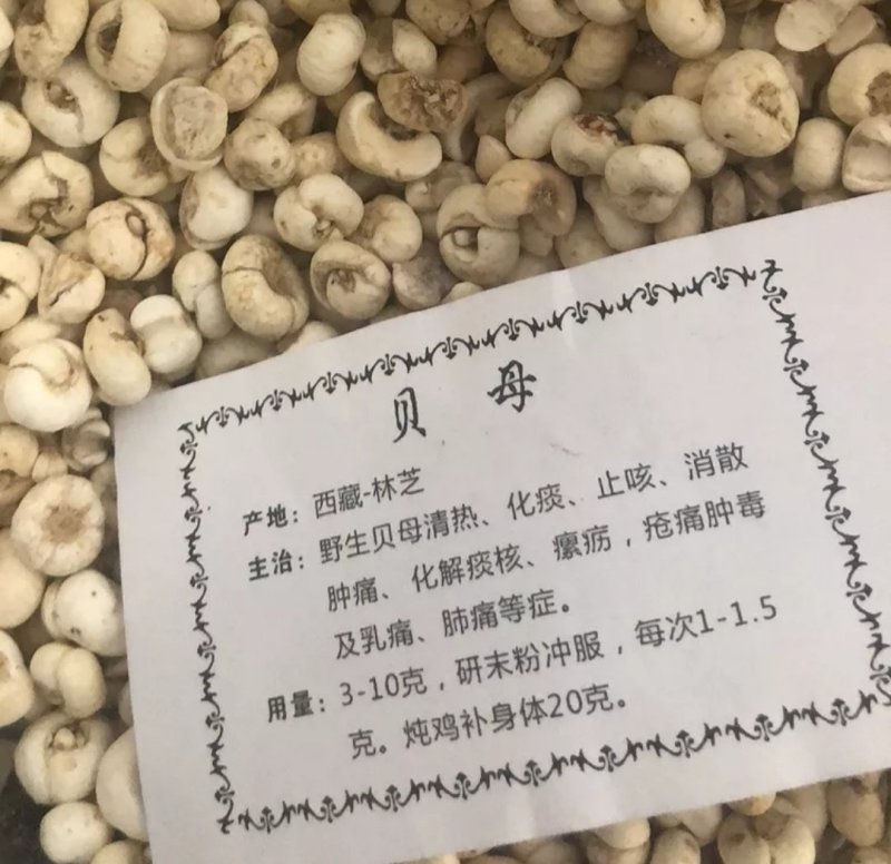 藏贝母，道地药材，质优价实，品质保证，药典标准，产地西藏