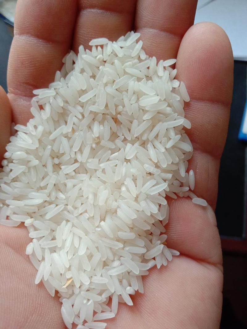 现在收割的野香优丝苗，软粘优质稻