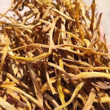 大荔黄花菜精品***金针菜产地直供无公害农家菜