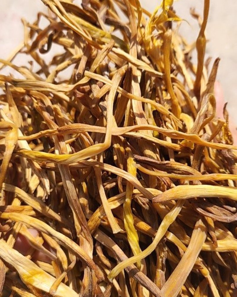 大荔黄花菜精品***金针菜产地直供无公害农家菜
