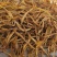 大荔黄花菜精品***金针菜产地直供无公害农家菜