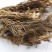 七里香,道地药材,质优价实,品质保证,药典标准一公斤起批