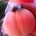 【精选】水蜜桃树苗包成活包品种提供技术指导基地直供