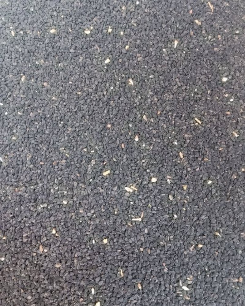 产地长期大量求购黑种草子