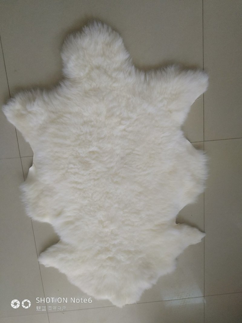 羊皮