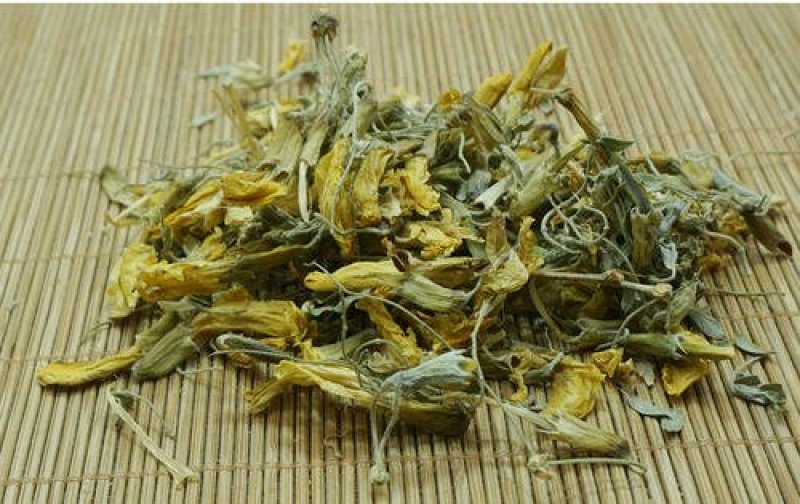 金雀花千余品种供应承接订单